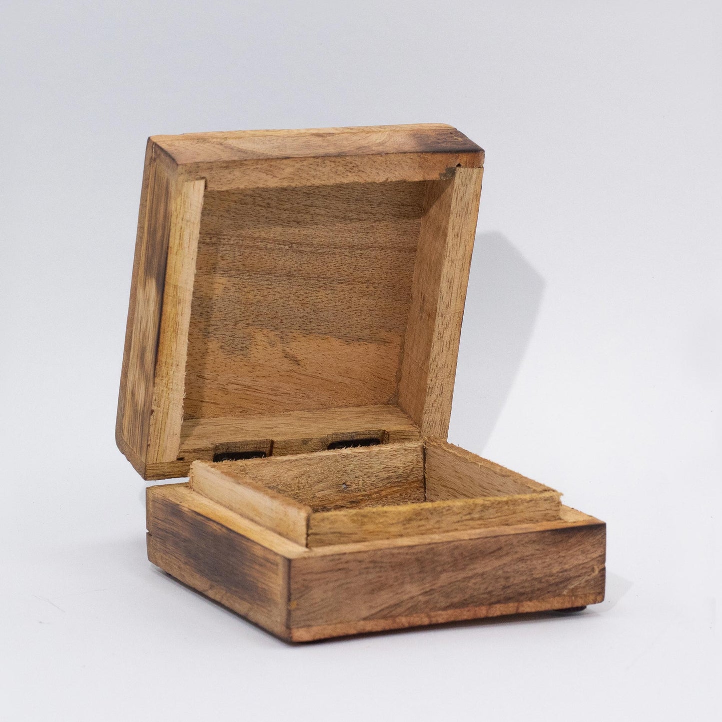 Lion & Snakes Enameled mango wood box