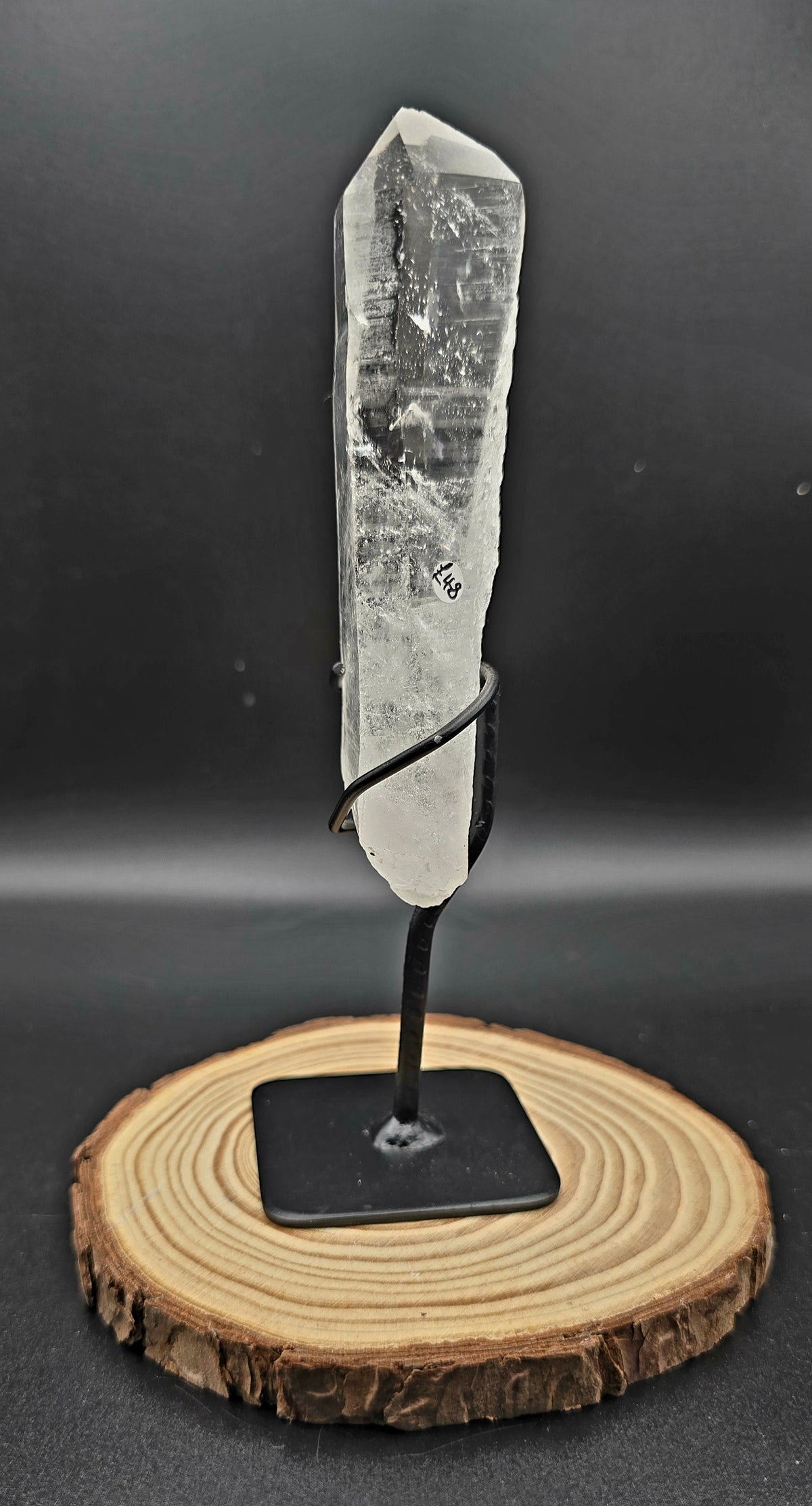Lemurian Clear Quartz on Stand