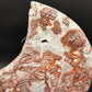 Large Mexican Lace Agate Moon