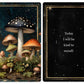 Mushrooms - Daily doses of wisdom