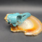 Ocean Jasper Raven Skull