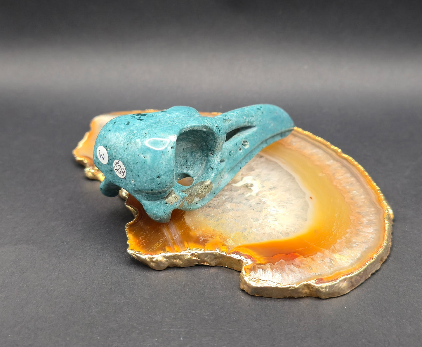 Ocean Jasper Raven Skull