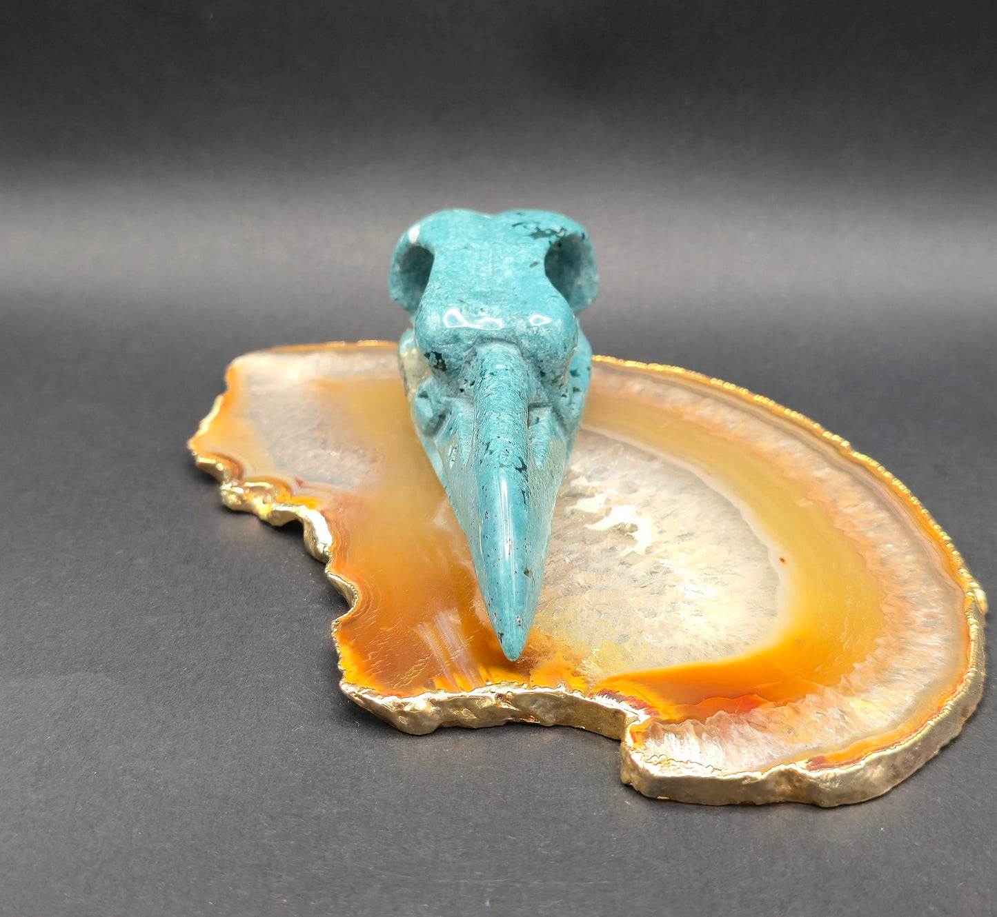 Ocean Jasper Raven Skull