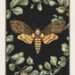 Woodland Wardens - Oracle