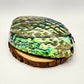 Abalone Shell