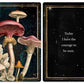 Mushrooms - Daily doses of wisdom