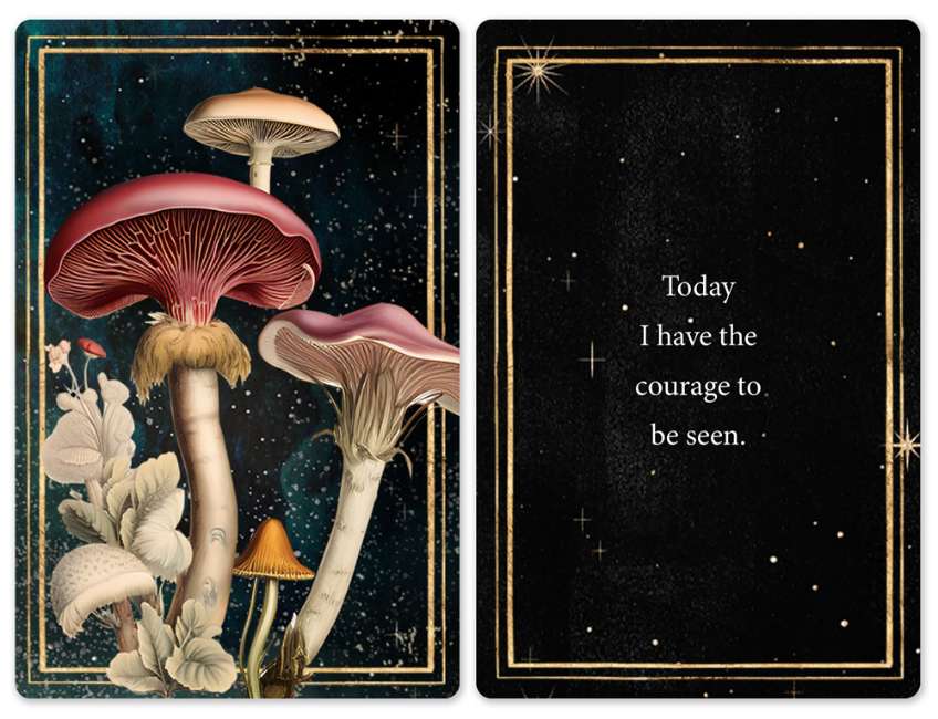 Mushrooms - Daily doses of wisdom