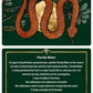 Protection Spells - 36 cards for magical self-defense