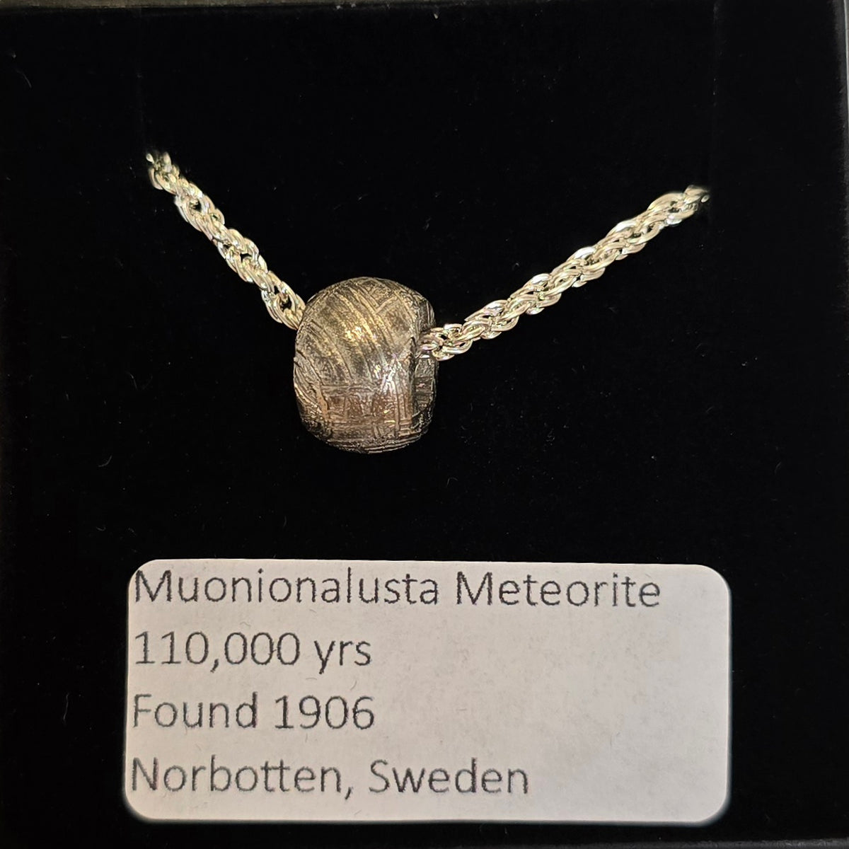 Muonionalusta Meteorite Pendant - Barrel