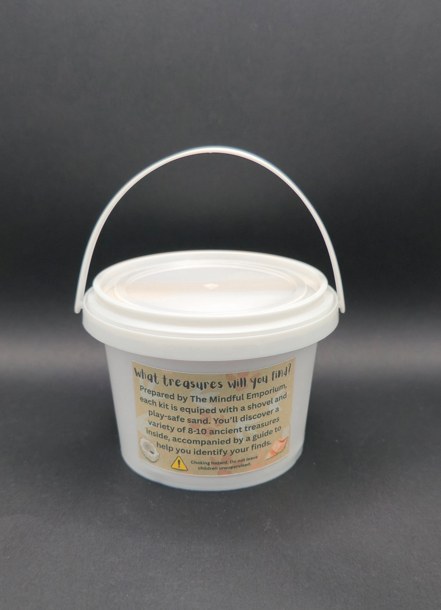 Fossil & Gem Dig Kit