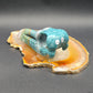Ocean Jasper Raven Skull