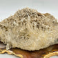 Colombian Needle Quartz Cluster