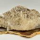 Colombian Needle Quartz Cluster