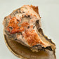 Vanadinite on Barite