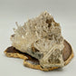 Colombian Needle Quartz Cluster