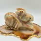 Green Banded Onyx Rabbit