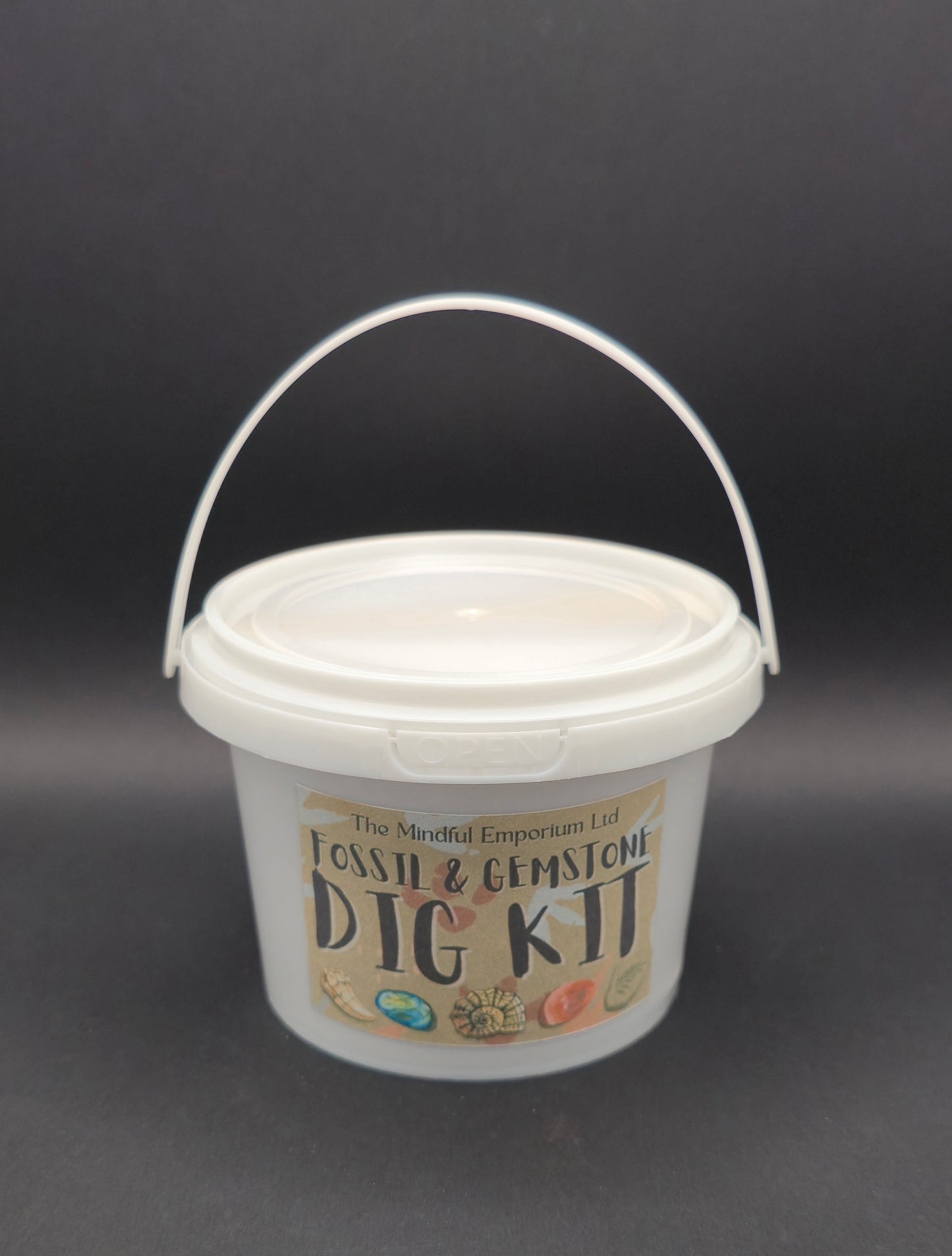 Fossil & Gem Dig Kit