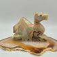 Green Banded Onyx Dromedary