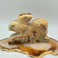 Green Banded Onyx Rabbit