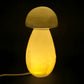 Selenite Mushroom Lamp - USB